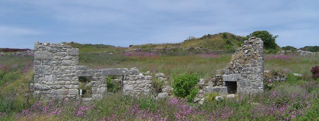 The Count House, Ding Dong Mine